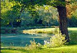 Albert Bierstadt Quiet Pond painting